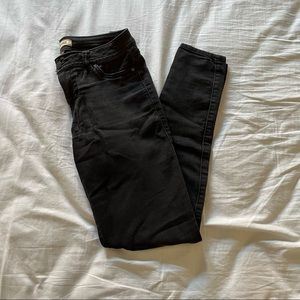 Blue Spice Denim Jeans/Jeggings